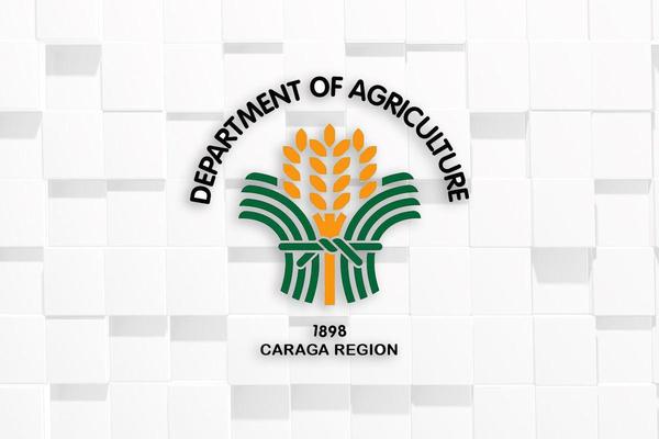 New ASF infections confirmed in Surigao Norte town