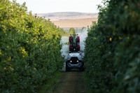 Yamaha Motor's unmanned self-driving vehicle with a pesticide-spraying function (Courtesy of the company)